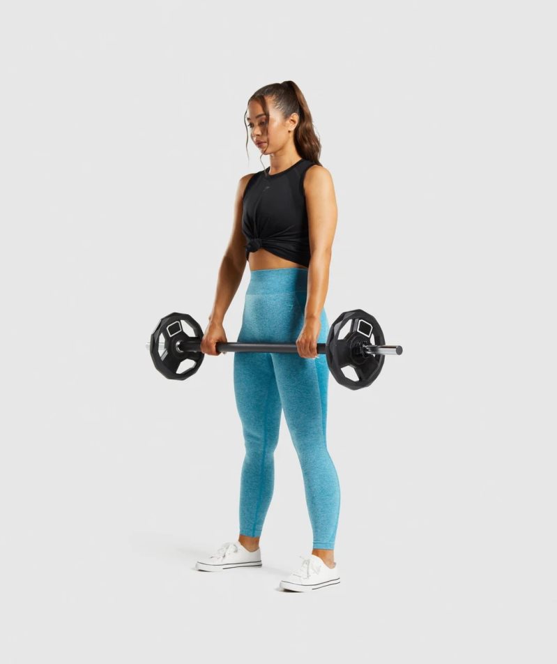 Women's Gymshark Flex High Waisted Leggings Blue | CA 63N5A8